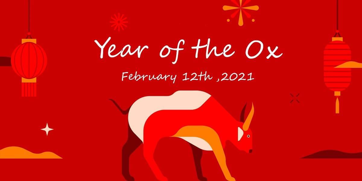Chinese New Year Celebration - New Green Nutrition