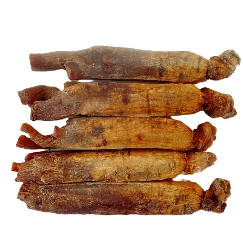 Dried Panax Red Korean Ginseng Root 6 Years Premium Grade (Root 8oz.) - Buy at New Green Nutrition