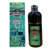 Deity Shampoo Color Change Shampoo 2 in 1 Formula Black Color Large Size (14.1 Oz)