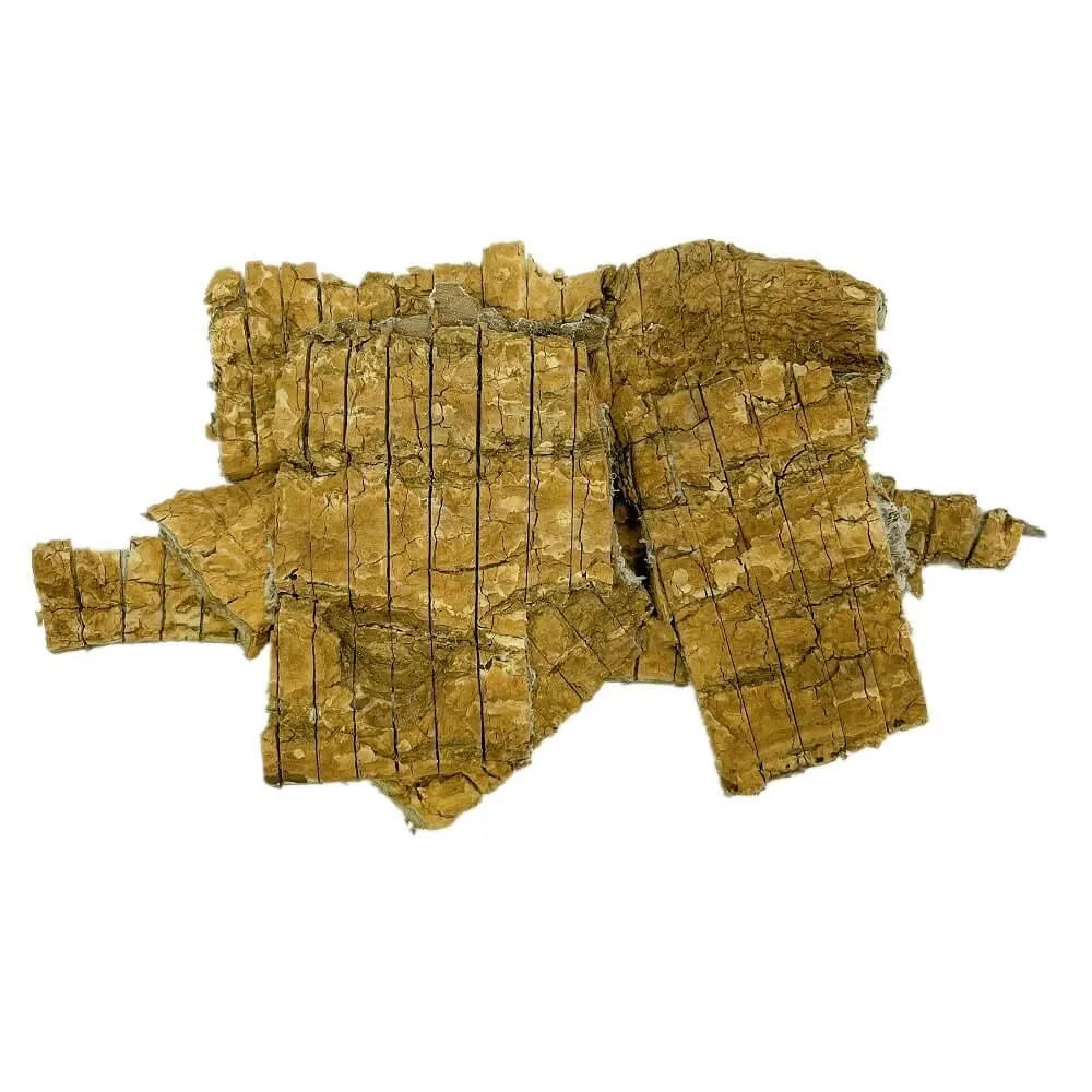 Dried Cortex Eucommiae Du Zhong (8oz.-1lb) - Buy at New Green Nutrition
