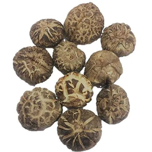 Herbsgreen Premium Grade Dried Shiitake Mushrooms Extra Thick (1 LB.) - Buy at New Green Nutrition