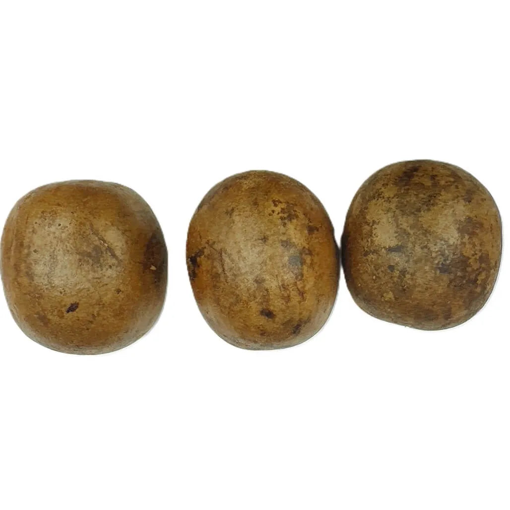 Premium Dried Luo Han Guo, Monk Fruit, Extra Large Size (6 Pieces)