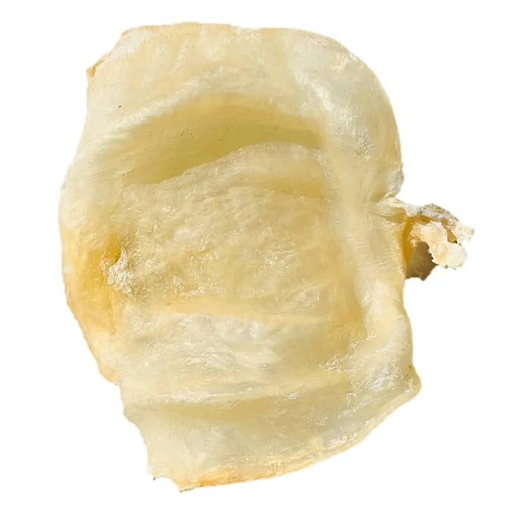 Premium Mexico Dried Fish Maw Extra Large Size 5-7 Pieces (8oz - 1lb) - Buy at New Green Nutrition