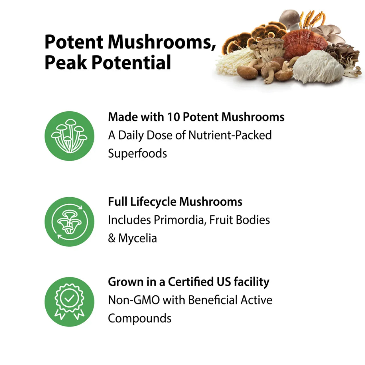 Rainbow Light 10 Mushroom Power Complex (60 Vegan Capsules) - Buy at New Green Nutrition