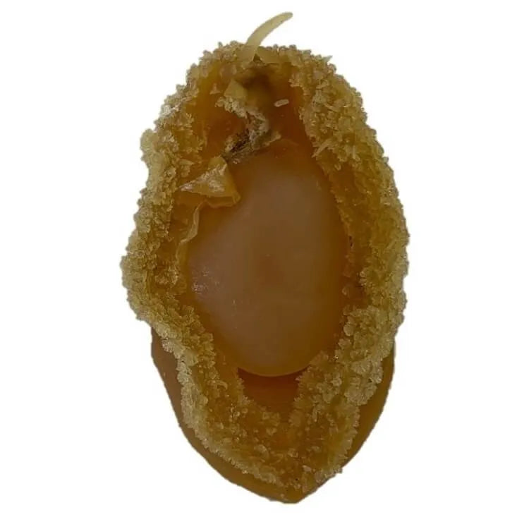 Supreme Dalian Dried Abalone Medium Size (8oz. Gift Box) - Buy at New Green Nutrition