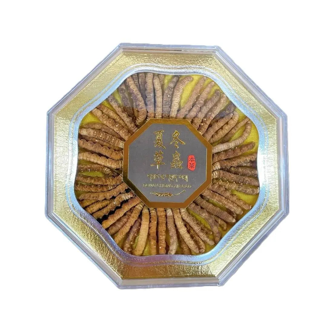 Wild Cordyceps Small Size (1/2 oz) - Buy at New Green Nutrition